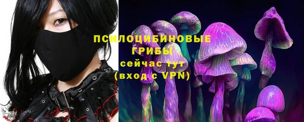 винт Белокуриха