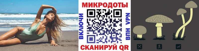 hydra онион  Черноголовка  Псилоцибиновые грибы мухоморы  продажа наркотиков 