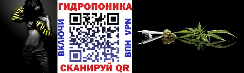 Марихуана THC 21%  hydra зеркало  Черноголовка 